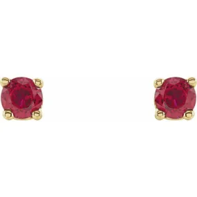 14K Yellow 2.5 mm Lab-Grown Ruby Stud Earrings with Friction Post