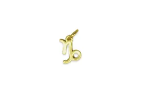 Capricorn Zodiac Gold Necklace Charm