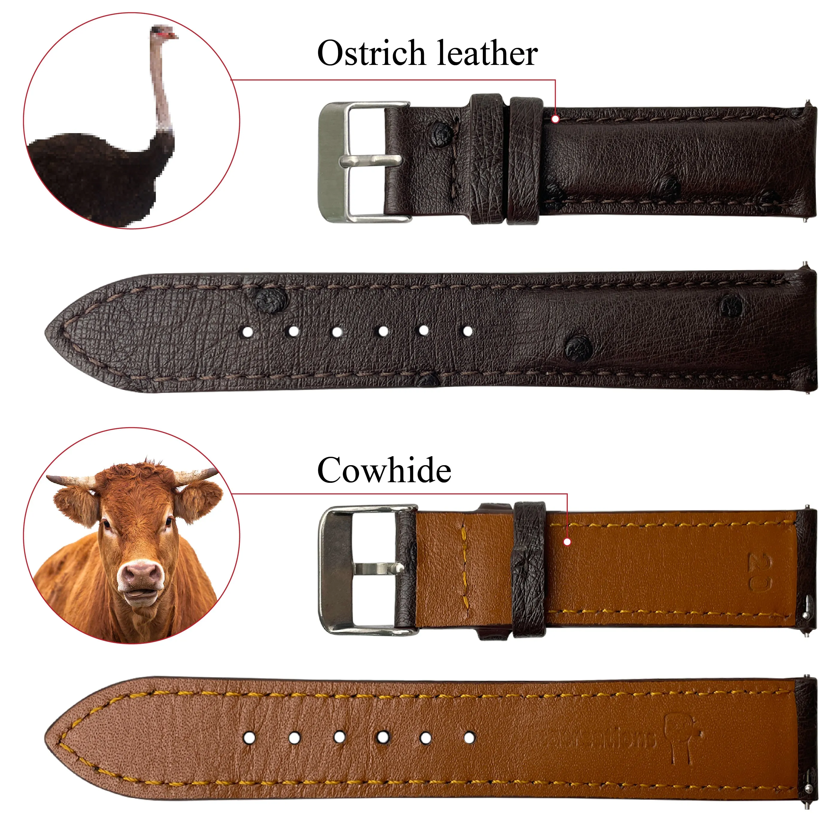 Dark Brown Genuine Ostrich Watch Strap Quick Release