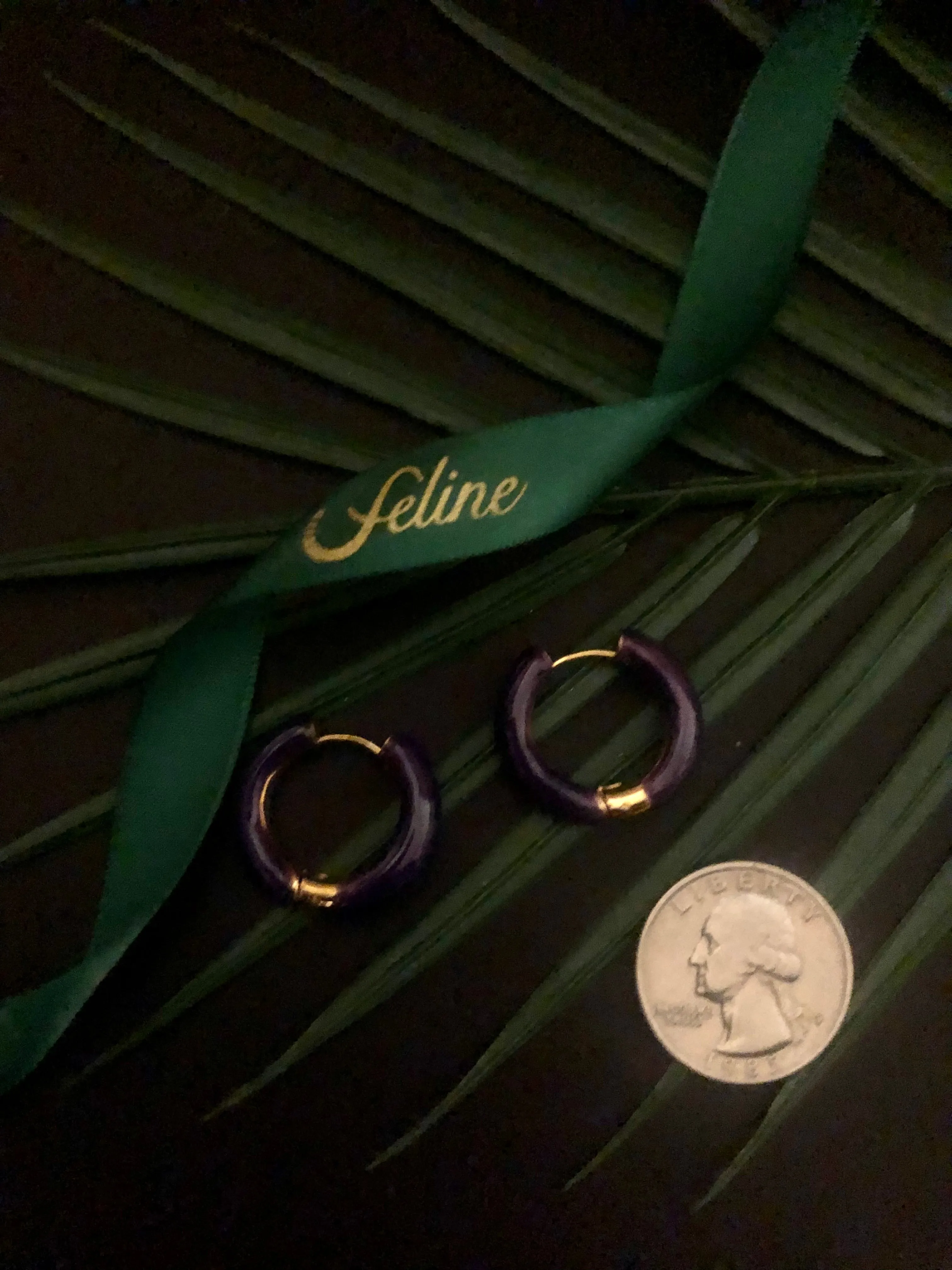 Nyska Enamel Medium Hoops