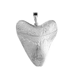 Shark Tooth Gifts - Megalodon Tooth Jewelry