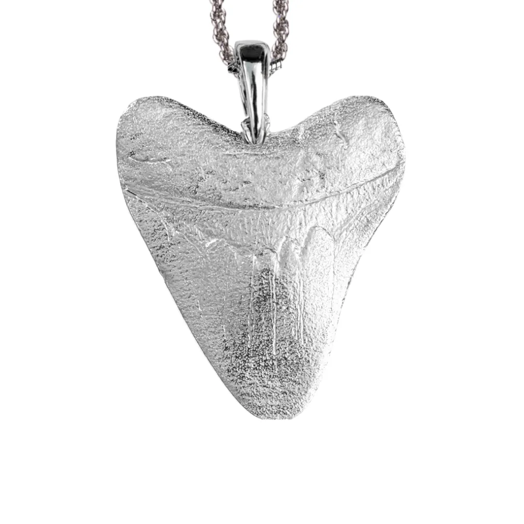 Shark Tooth Gifts - Megalodon Tooth Jewelry