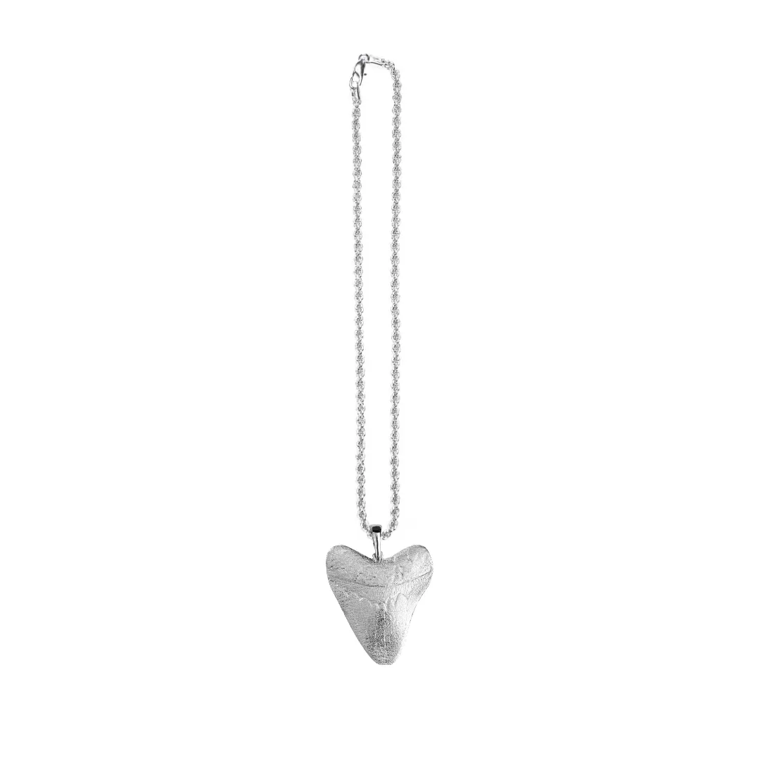Shark Tooth Gifts - Megalodon Tooth Jewelry