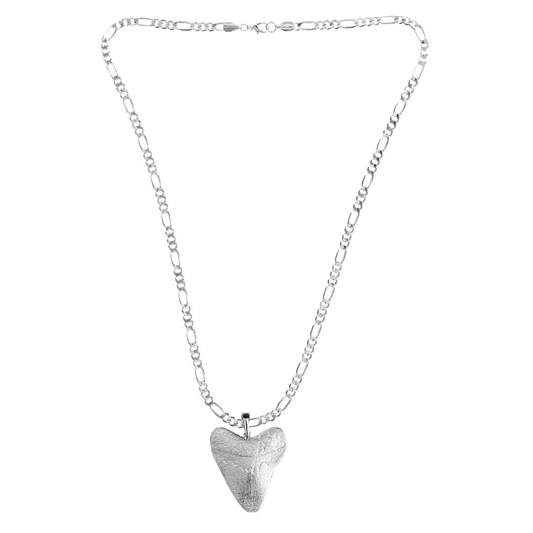 Shark Tooth Gifts - Megalodon Tooth Jewelry