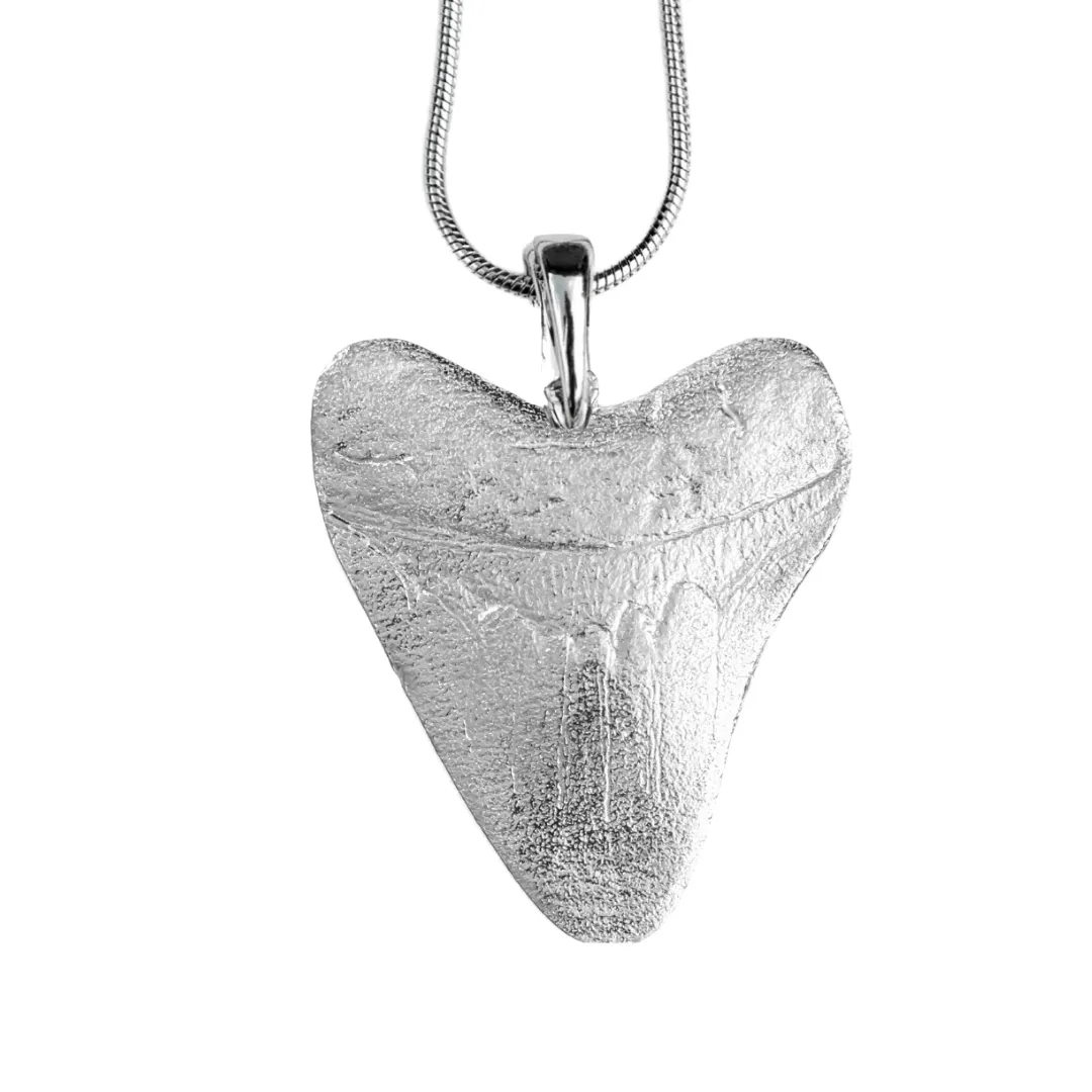Shark Tooth Gifts - Megalodon Tooth Jewelry