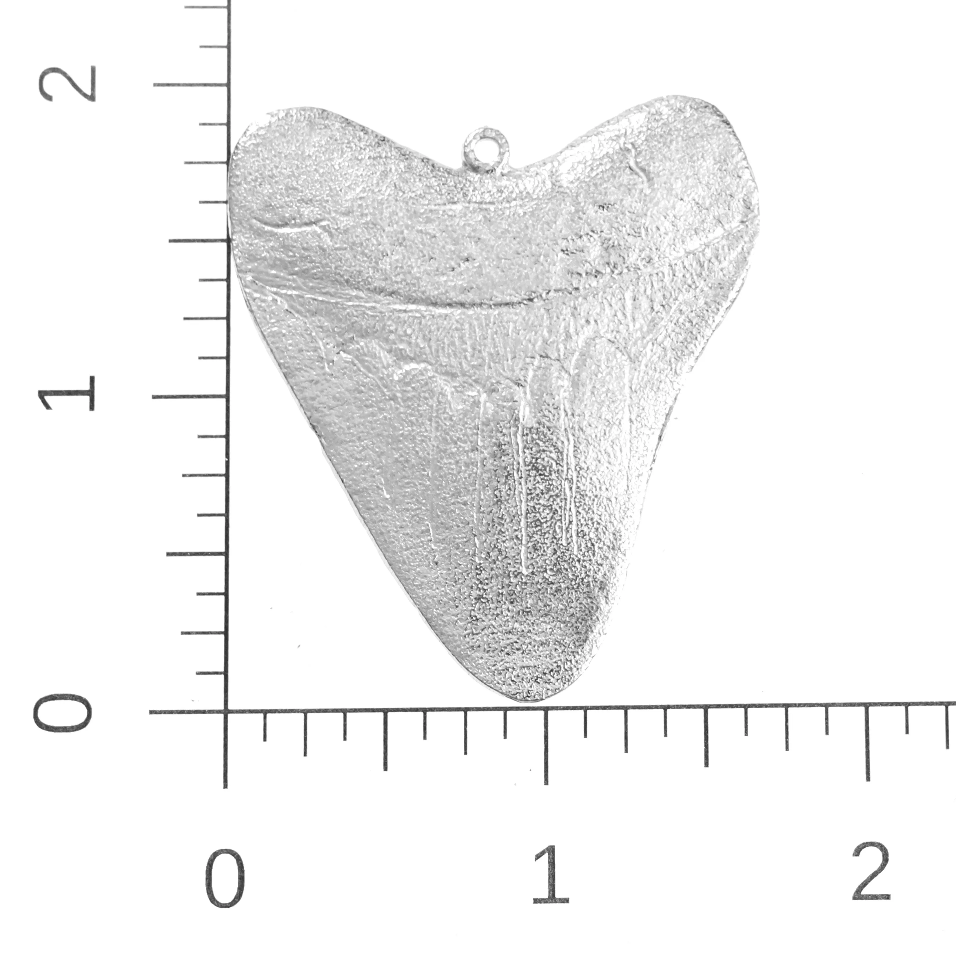 Shark Tooth Gifts - Megalodon Tooth Jewelry