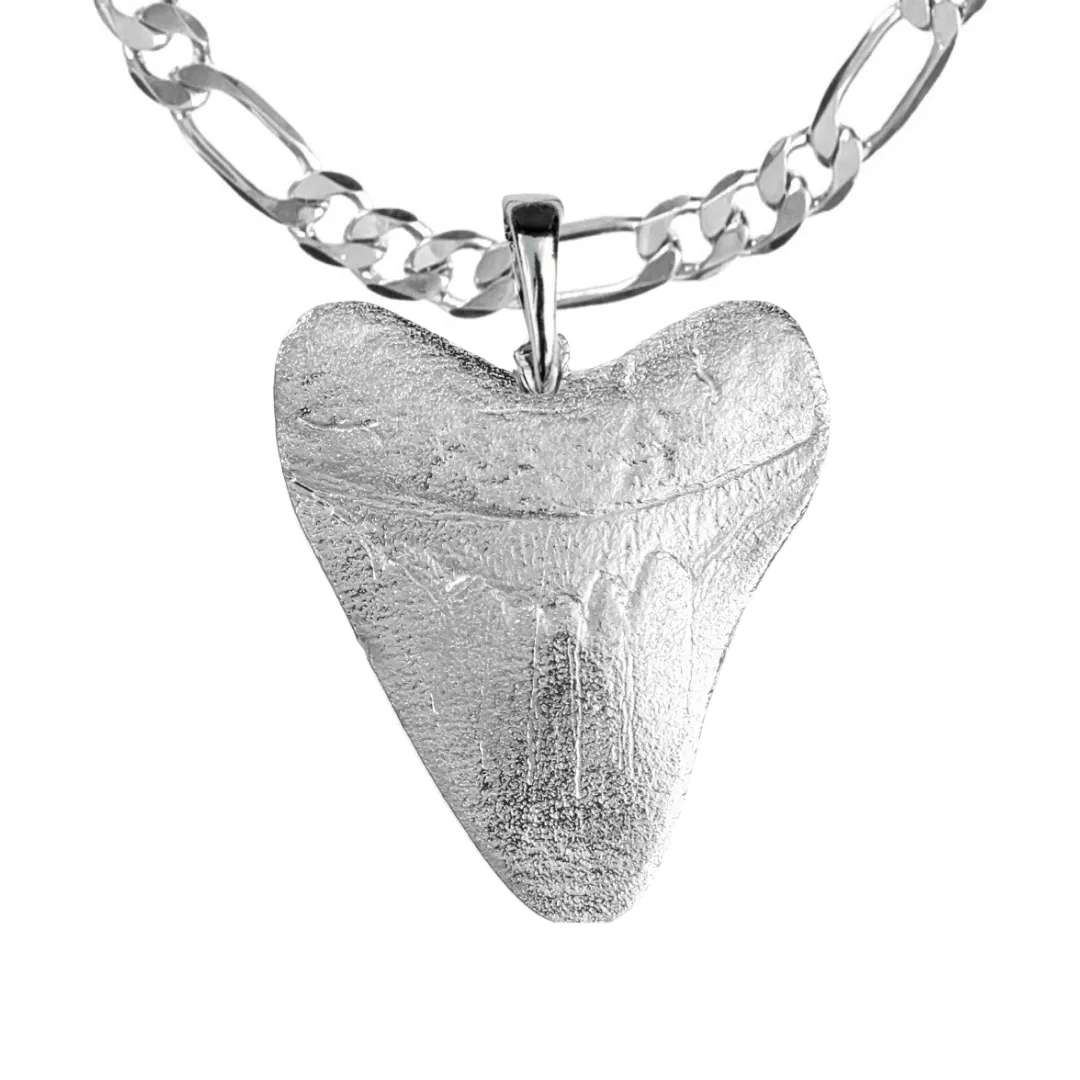 Shark Tooth Gifts - Megalodon Tooth Jewelry